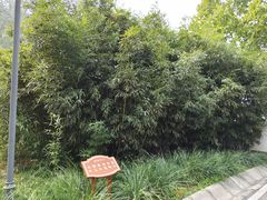 -石家庄市植物园