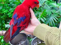 -南宫五洲植物乐园