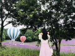 -大塘金香草谷