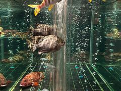 -新荣记(新源南路店)