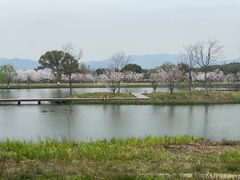 -良渚古城遗址公园