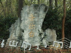 -音乐台