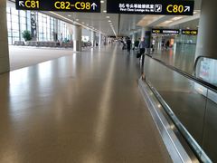 -上海浦东国际机场-T2航站楼