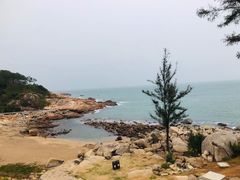 -广东惠东海龟国家级自然保护区