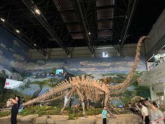 -自贡恐龙博物馆