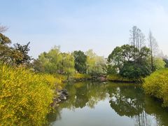 -上海滨江森林公园
