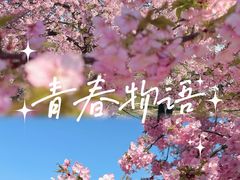 -上海辰山植物园