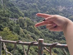-少华山国家森林公园
