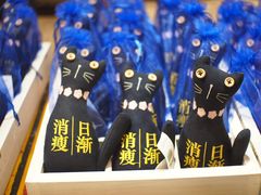 -猫咪博物馆(顶澳仔猫街店)