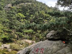 -无染寺