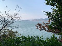 -南诏风情岛