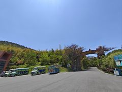 -句容茅山景区