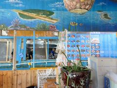 -蓝湾碧波·老字号·疍家非遗海上餐厅