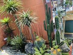 -勇利赵家烤肉坊(纬二街店)
