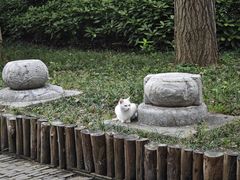 -常熟方塔园