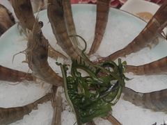 -福娣·金沙银贝海鲜火锅