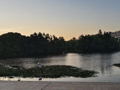 -新江湾城公园