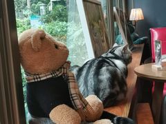 -咖法森林·咖啡  酒吧(天河店)