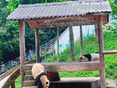 -碧峰峡风景区
