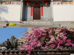 -深圳国际园林花卉博览园