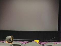 -山文星辉影城(青岛和谐广场店)