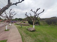 -广州莲花山旅游区