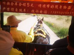 -水洞沟旅游区