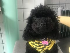 -蜜蜂小象·榴莲千层蛋糕(时代汇11栋店)