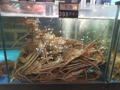 -蟹之国·精品蟹料理(极地店)