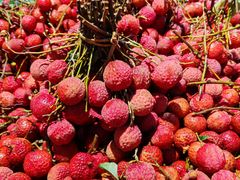 -兴龙广缘超市(奥体中心店)