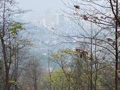 -潜山国家森林公园