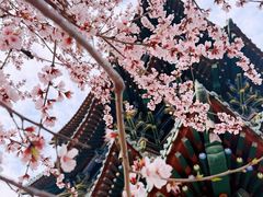 -迎泽公园