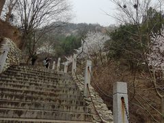 -北京凤凰岭