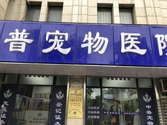 -申普宠物医院·眼科·心内科·影像科(普陀分院)