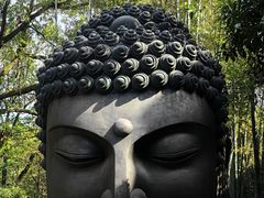 -杭州植物园