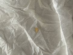 -派斯俊·本味(解放南路店)