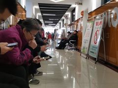 -陕西省小天鹅艺术团