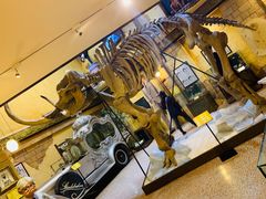 -信不信由你博物馆