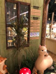 -森活木趣wooderfullife(益田假日广场店)