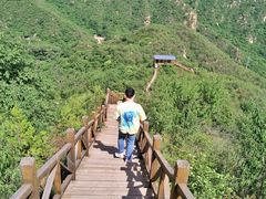 -大岭沟猕猴桃谷风景区