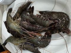 -牛排王糟粕醋火锅(海甸分店)