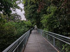 -佛山华盖山公园