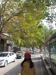 -沈阳市妇幼保健院(沈州路院区)