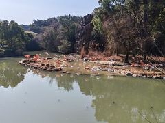 -宁波野生动物园