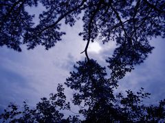 -秦岭终南山世界地质公园翠华山景区