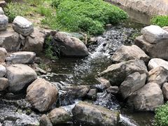 -白水寺森林公园