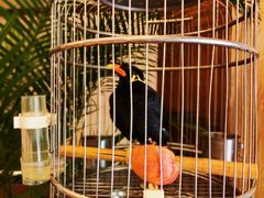 -杭州香格里拉·香宫中餐厅