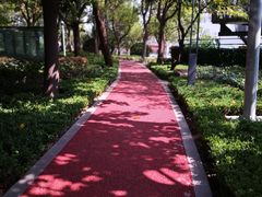 -北外滩滨江绿地