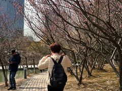 -白塘生态植物园