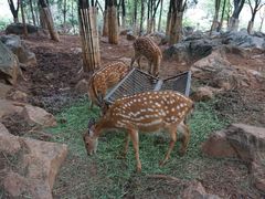 -昆明动物园